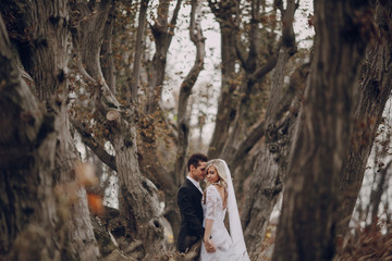 bride walking in golden autumn nature