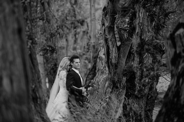 bride walking in golden autumn nature