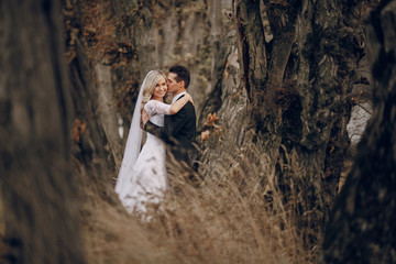 bride walking in golden autumn nature