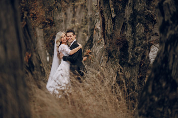 bride walking in golden autumn nature