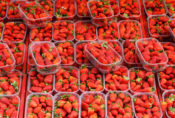 Boxes with strawberries
