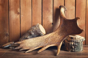 Poster Moose antler with firewood on wooden background © Africa Studio