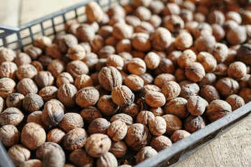 Crate of walnuts