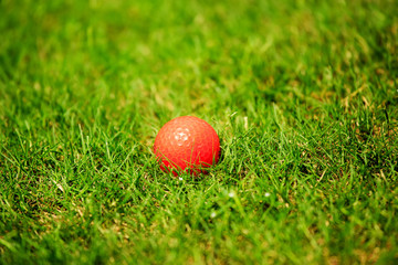 Orange golf ball on the green
