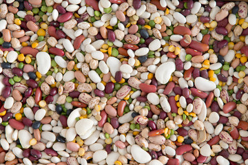 Background of 15 assorted beans and legumes - 81031075