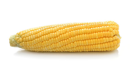 Corn isolated on a white background