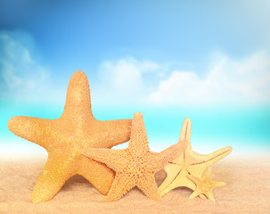 Obraz na płótnie Canvas Summer beach. Family of Starfish on the seashore.