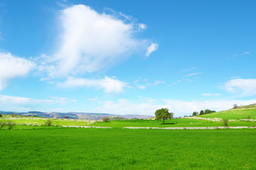 Verdi colline e un cielo azzurro con nuvole