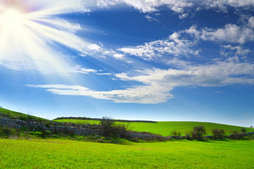 Prato verde con raggi di sole - Pianeta verde - Terra.