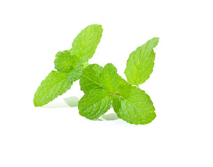 Obraz na płótnie Canvas Fresh raw mint leaves isolated on white background