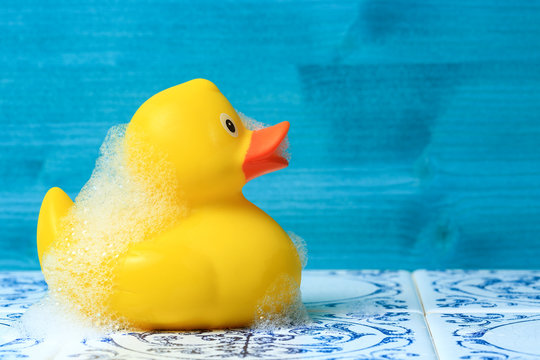 Ente1