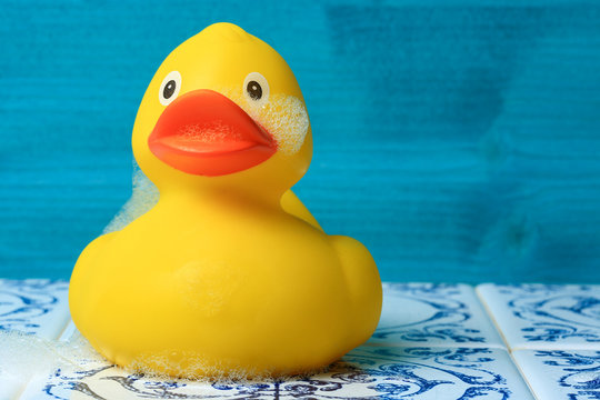 Ente2