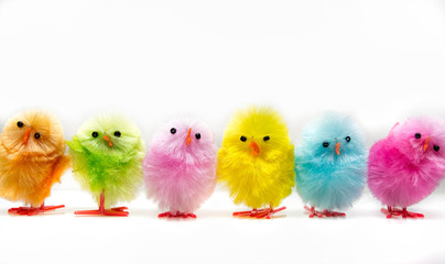 Colorful easter chicks
