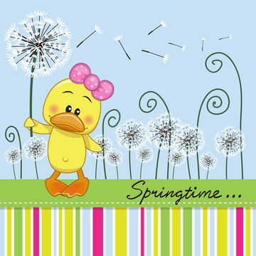 Cute Duck with dandelion