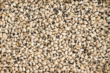 Background texture of black-eyed beans