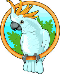 cockatoo © fargon
