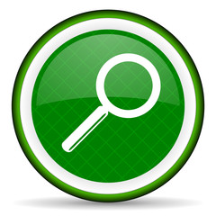 search green icon
