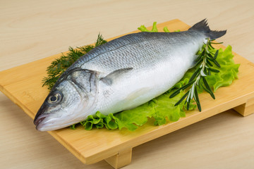 Raw seabass