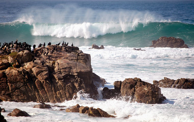 Waves crush rocks,18 Miles Out, California