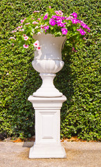 roman  flower pot on green panel
