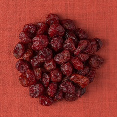 Circle of dried cranberries