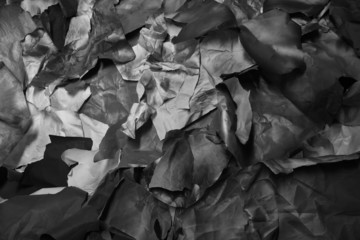 torn colored paper, texture, background