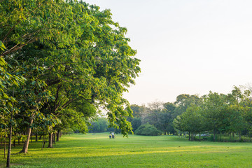 Park and recreation area in the city