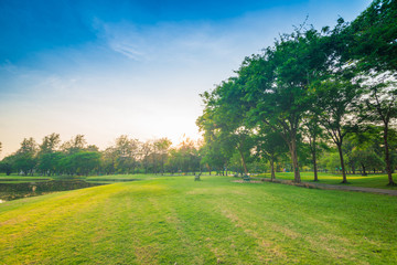 beautiful green park with sun light