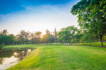Fototapeta na wymiar beautiful green park with sun light