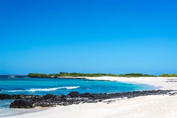 Foto op Canvas Galapagos White Sand Beach © jkraft5
