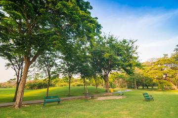 Green lawn in city park with bench