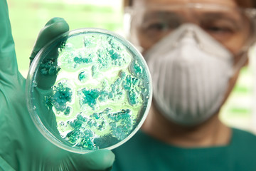 Petri dish with virus cells - obrazy, fototapety, plakaty