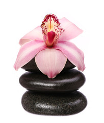 massage basalt stones and orchid flower isolated on white backgr