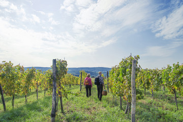 Senior couple in the vineyard