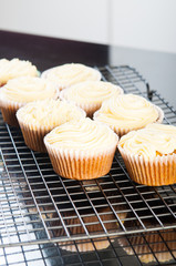 carrot cupcakes