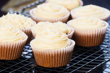 carrot cupcakes