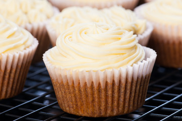 carrot cupcakes