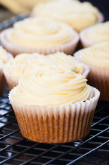 carrot cupcakes