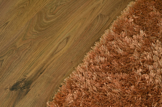 Brown shaggy carpet on wooden floor