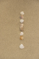 Fototapeta na wymiar Ausrufezeichen aus Muscheln im Sand