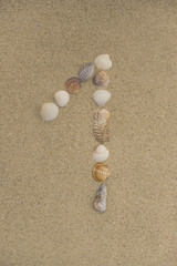 Fototapeta na wymiar Zahl 1 aus Muscheln im Sand