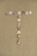 Fototapeta na wymiar Buchstabe T aus Muscheln im Sand