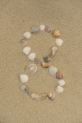Fototapeta na wymiar Zahl 8 aus Muscheln im Sand