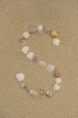 Fototapeta na wymiar Buchstabe S aus Muscheln im Sand