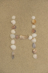 Fototapeta na wymiar Buchstabe H aus Muscheln im Sand