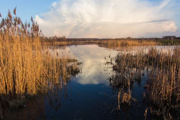Foto op Plexiglas spring lake landscape © Khrystyna Pochynok