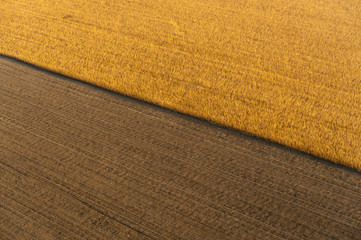 Beautiful morning. Fields from above