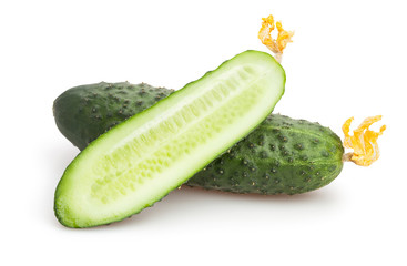 cucumber
