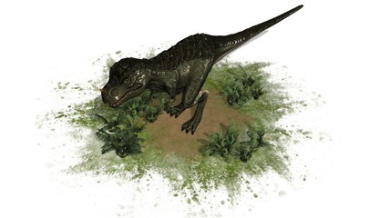 Fototapeta na wymiar T-Rex Dinosaur - seperated on white background