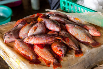 Fisch auf dem Markt